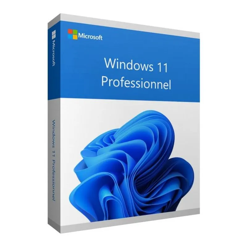 Microsoft Win 11 Pro 64Bit French 1pk DSP OEI DVD